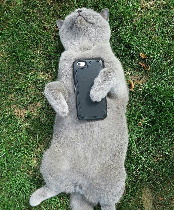 거대한 먼지덩어리들 | 인스티즈