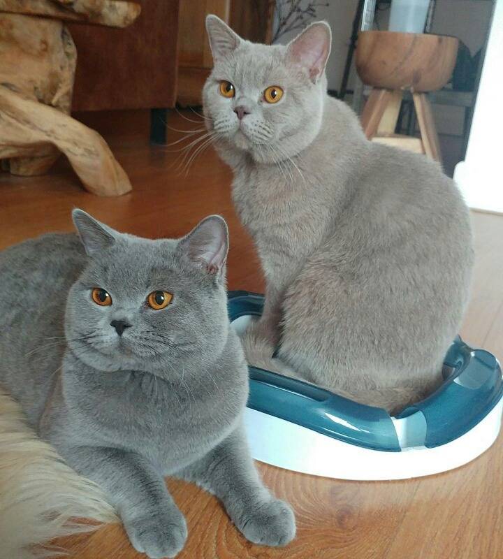 거대한 먼지덩어리들 | 인스티즈