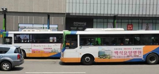  시내버스들이 난폭한 곳으로 유명하다는 도시들 | 인스티즈