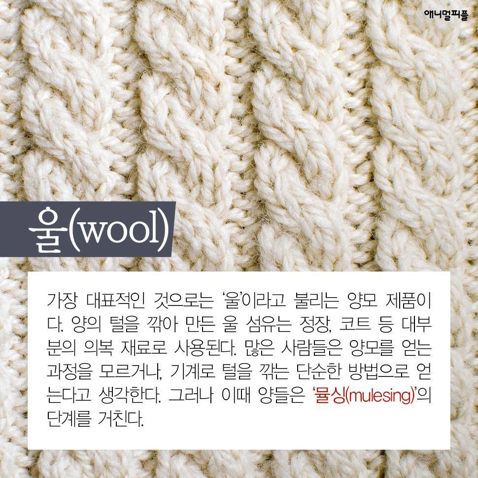 ??? : 아니 ㅅㅂ 말 못하는 강아지를 왜 때려...무슨 죄가 있다고... | 인스티즈