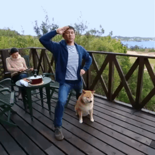 주인과 놀아주는 시바.gif | 인스티즈