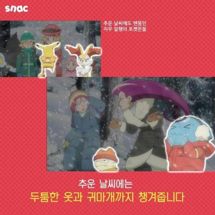 포켓몬의 진짜 주인공 | 인스티즈