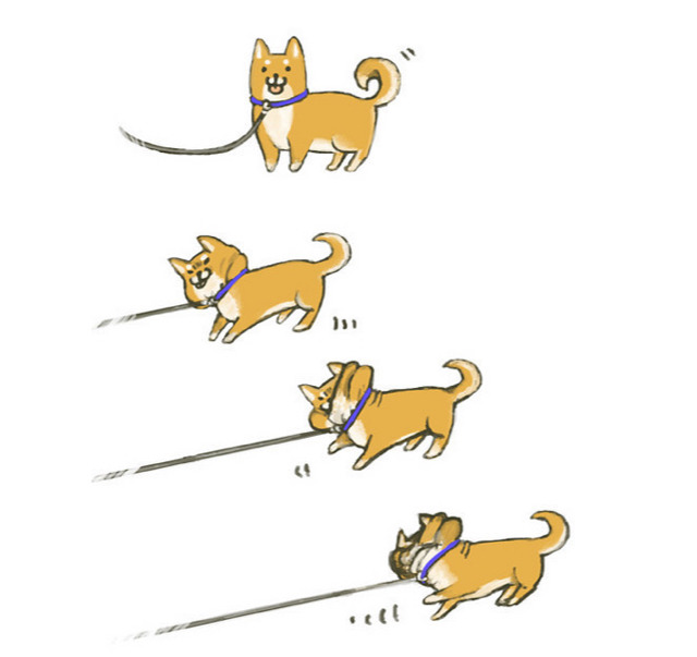 안 가 안 간다고.jpg | 인스티즈