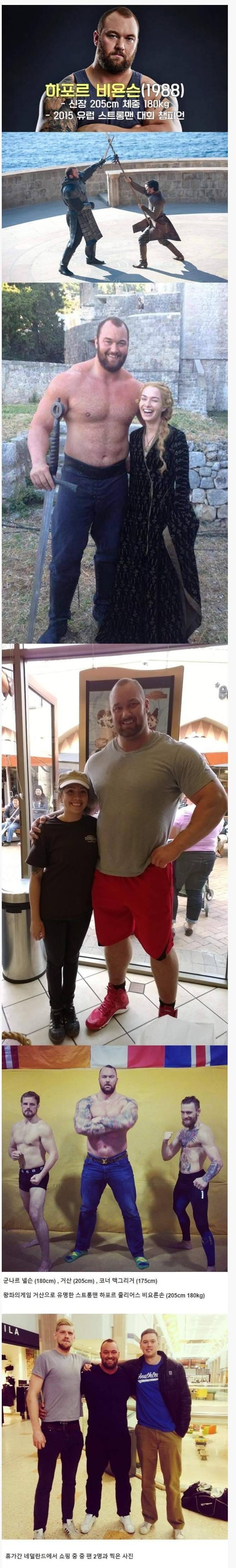 네덜란드에 간 2015 유럽 스트롱맨 챔피언 | 인스티즈