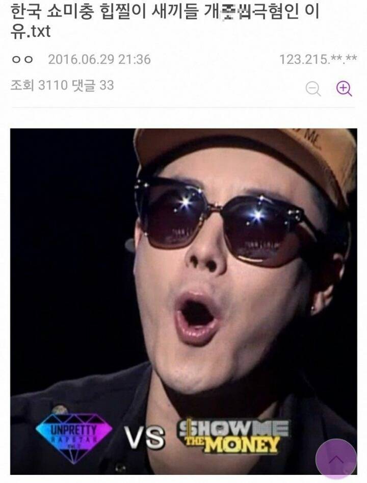 한 디시인의 쇼미더머니 싫어하는 이유 | 인스티즈