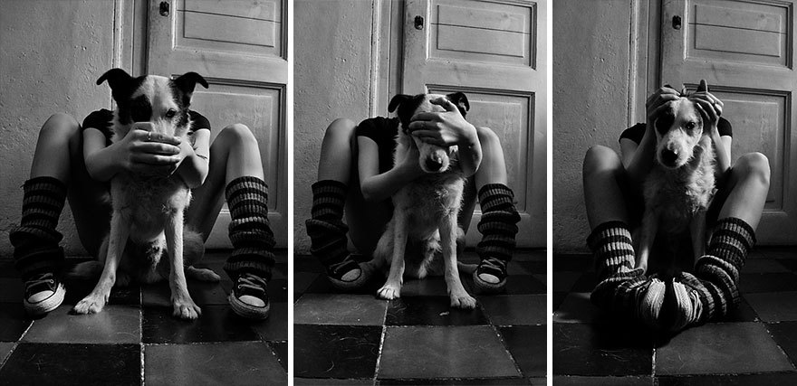 두 번 파양당한 뒤에 진짜 가족을 찾은 강아지 | 인스티즈