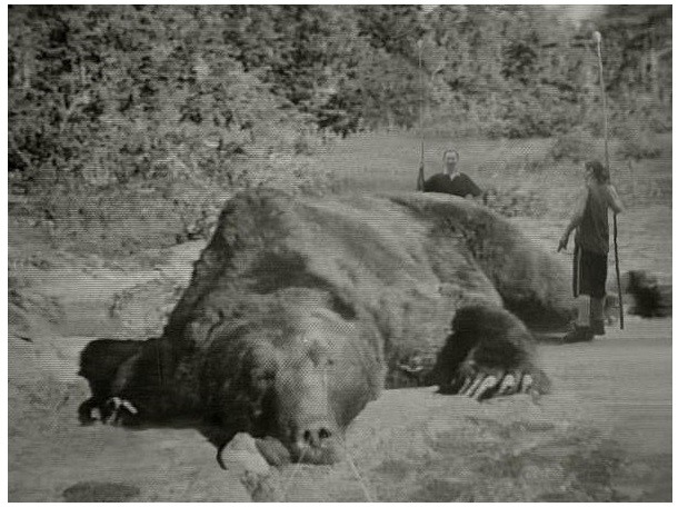 이놈으로 아프리카코끼리 제압 가능하다 vs 불가능하다 | 인스티즈