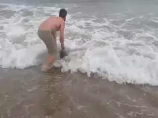 아기 범고래 구해줌.gif | 인스티즈