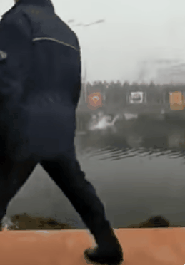 바다로 뛰어든 시장 | 인스티즈