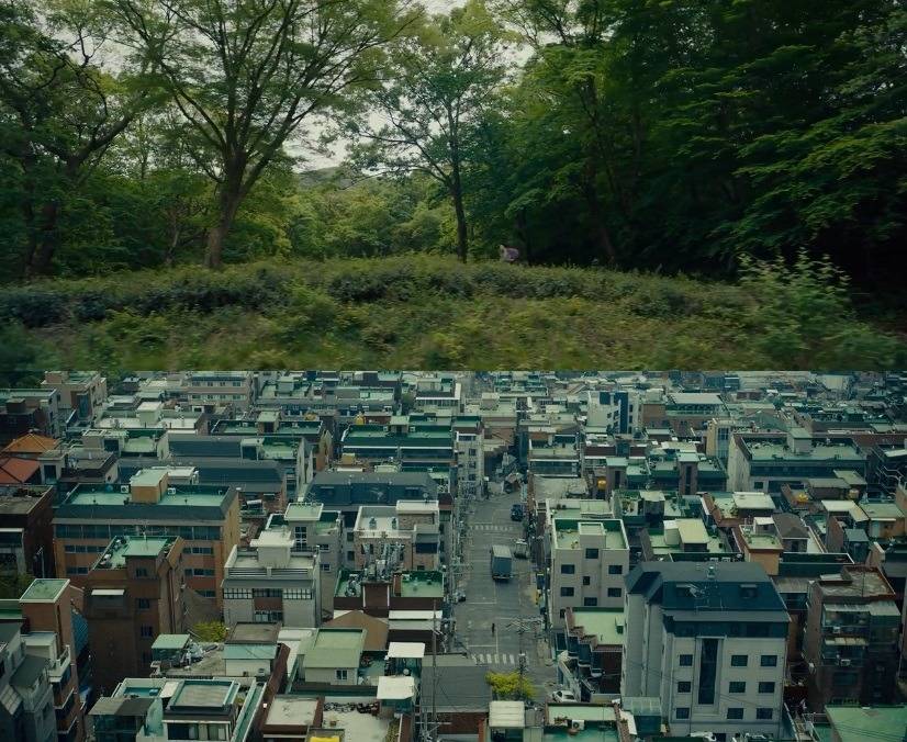 《옥자》에서 개인적으로 인상 깊었던 쇼트들 I.JPG | 인스티즈