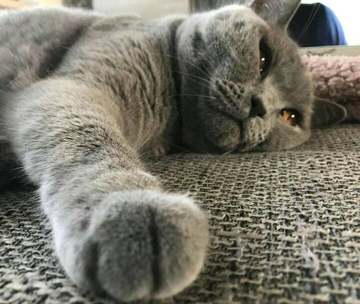 거대한 먼지덩어리들 | 인스티즈