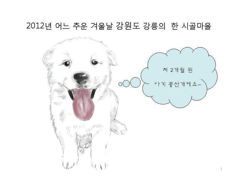 치매 할아버지를 구한 아기 풍산개 | 인스티즈