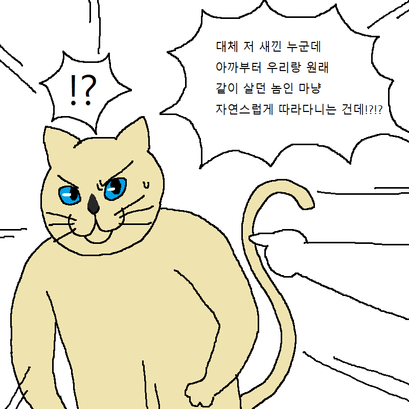 [만화] 수컷 고양이 세마리가 맞짱까는 만화 | 인스티즈