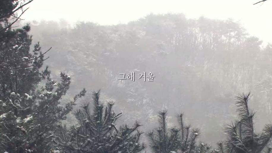 한번의 인생 어떻게 살 것인가 | 인스티즈