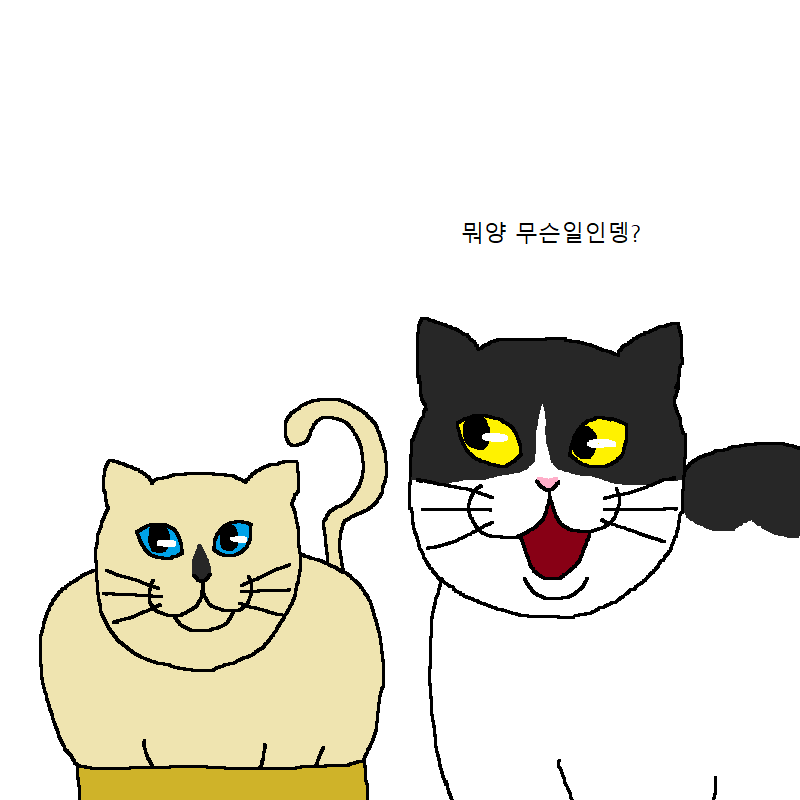 [만화] 수컷 고양이 세마리가 맞짱까는 만화 | 인스티즈