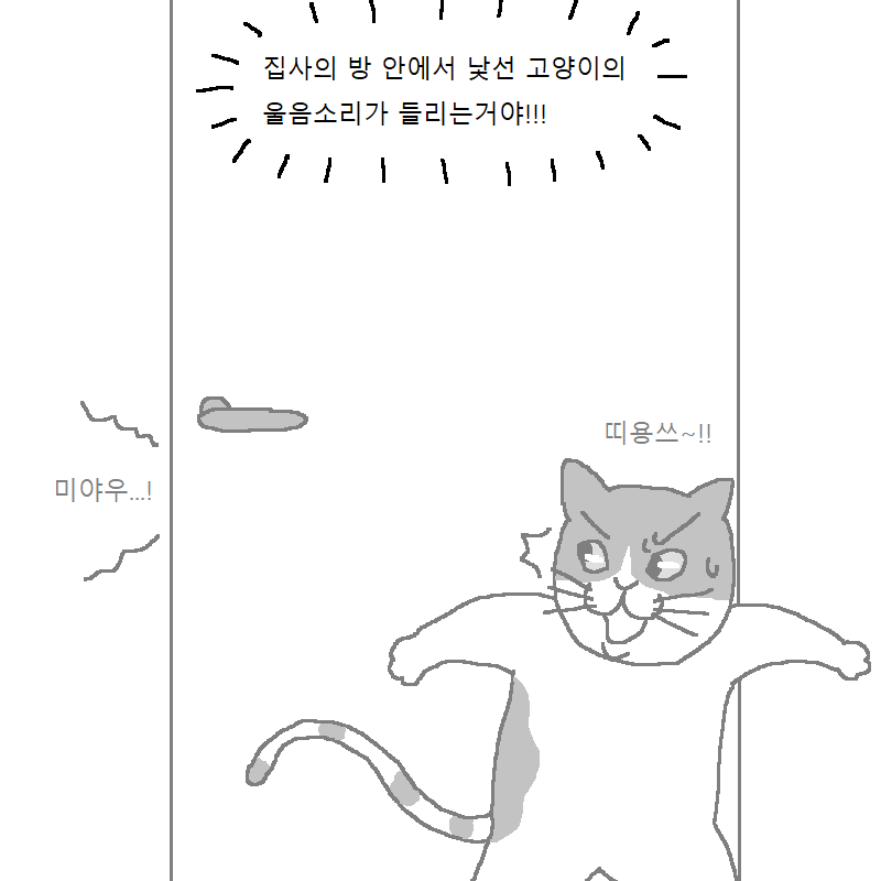 [만화] 수컷 고양이 세마리가 맞짱까는 만화 | 인스티즈