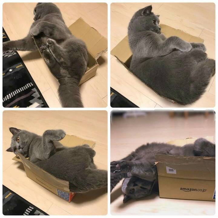 거대한 먼지덩어리들 | 인스티즈