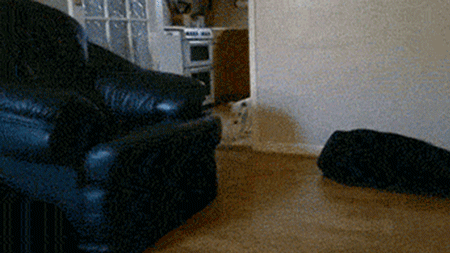 너네 걸그룹이야 | 인스티즈