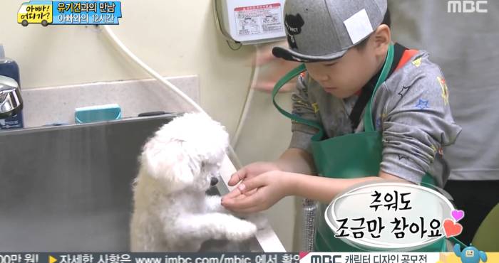 [아빠어디가] 유기견을 대하는 윤후의 태도 .jpg | 인스티즈