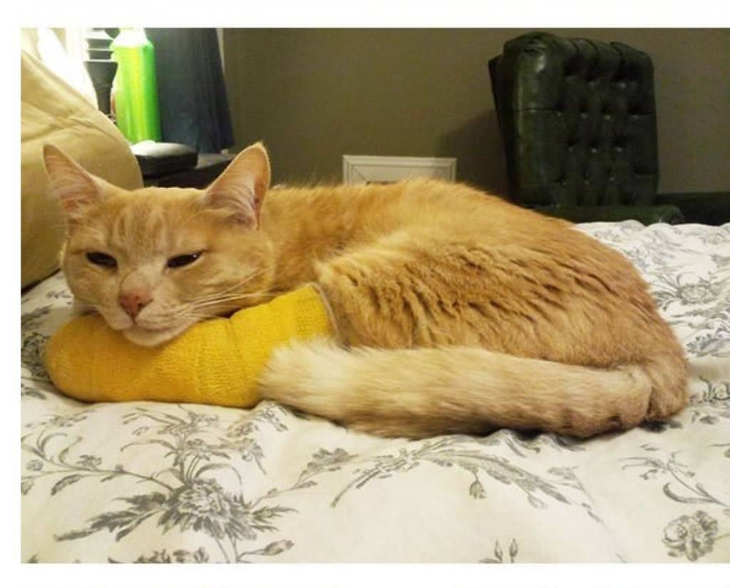 나 아야했쪄 | 인스티즈