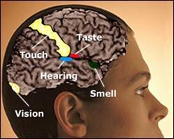 어느날... 당신에게 3가지 초능력이 주어진다면!? | 인스티즈