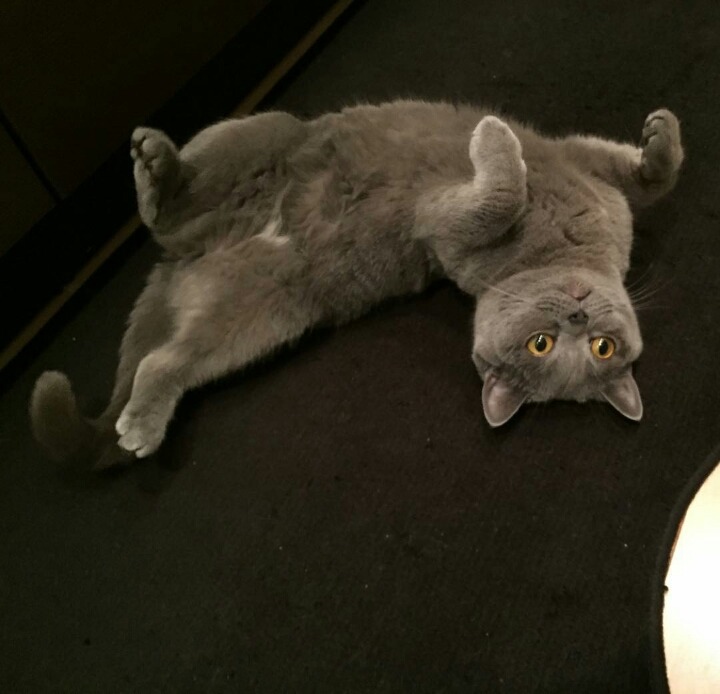 거대한 먼지덩어리들 | 인스티즈