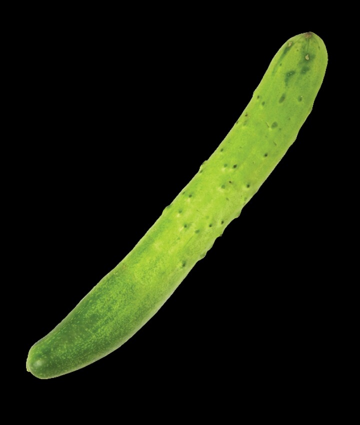 갤럭시폰 쓰는사람 특징 | 인스티즈