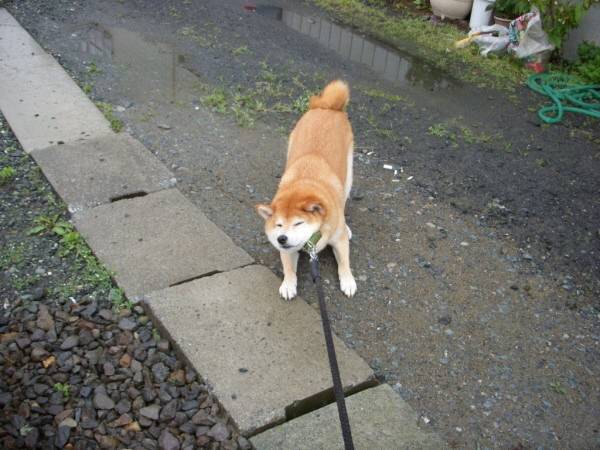 안 가 안 간다고.jpg | 인스티즈