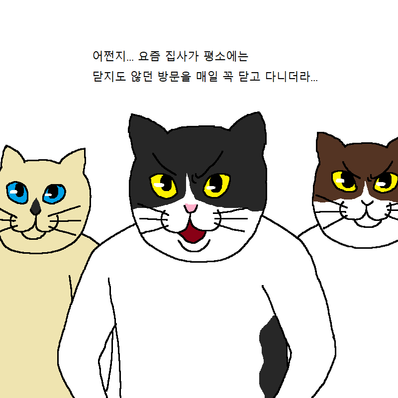 [만화] 수컷 고양이 세마리가 맞짱까는 만화 | 인스티즈