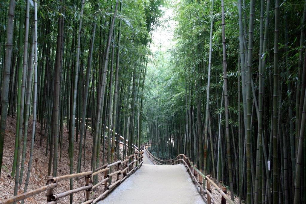 여자친구 데리고 갔을때 좋아했던 곳들 | 인스티즈