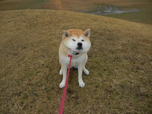 안 가 안 간다고.jpg | 인스티즈
