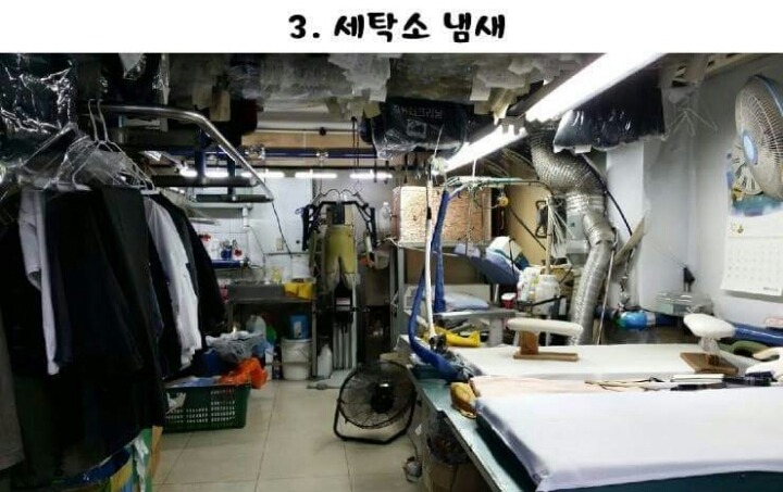 은근 좋아하는사람이 많은 냄새.jpg | 인스티즈