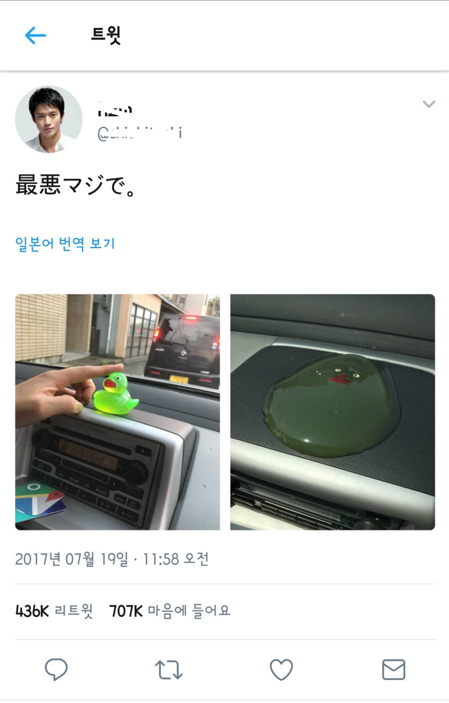 차 안에 있던 오리가 | 인스티즈