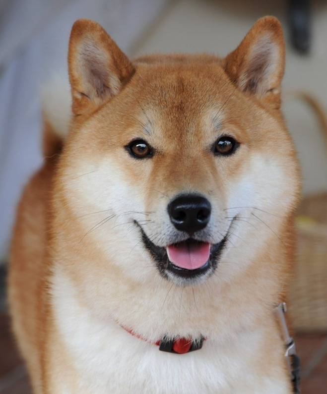 괜찮아 자연스러웠어.. | 인스티즈