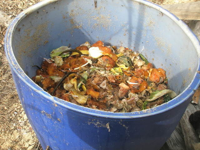 설날 취사병의 하루 일과 | 인스티즈