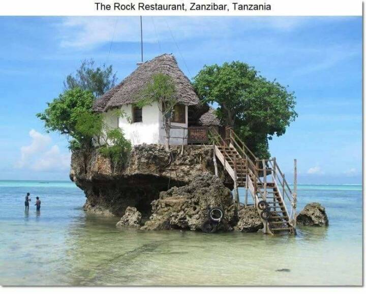 특이한 디자인의 집들 | 인스티즈