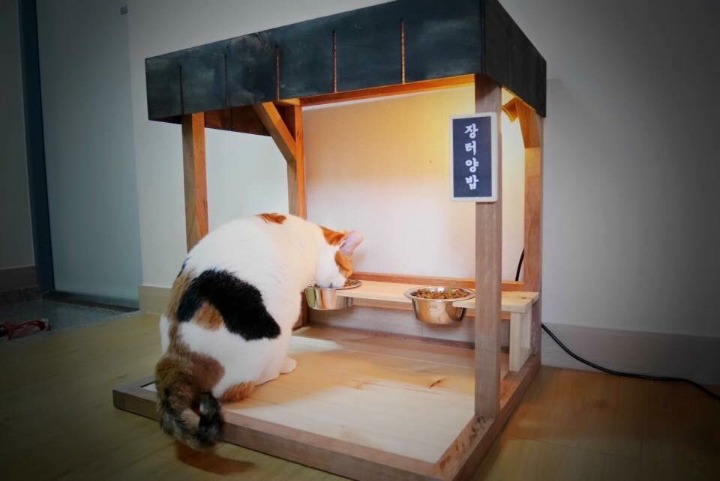 집사의 솜씨 | 인스티즈