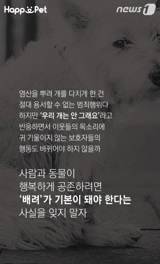 흑석동 강아지 염산테러사건의 전말 | 인스티즈