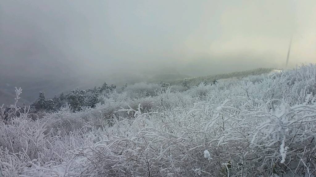 2017년 첫 눈 쌓인 산.jpg | 인스티즈