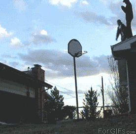 천조국 사람들한테 공을 주면 생기는일 | 인스티즈