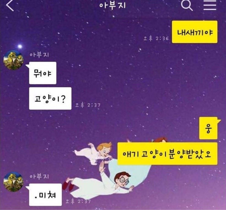 집에 고양이 데리고 오지 말라던 아부지.jpg | 인스티즈