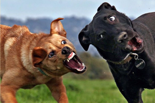 아 따라하지 말라고? | 인스티즈