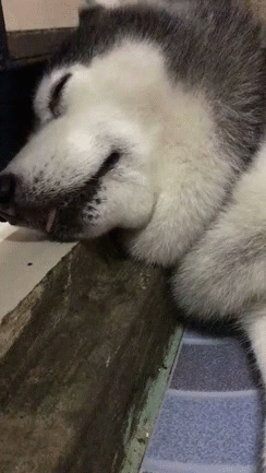 ??: 어이! 종점이여! | 인스티즈