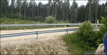 저 좀 봐주세요 ㅎㅎ | 인스티즈