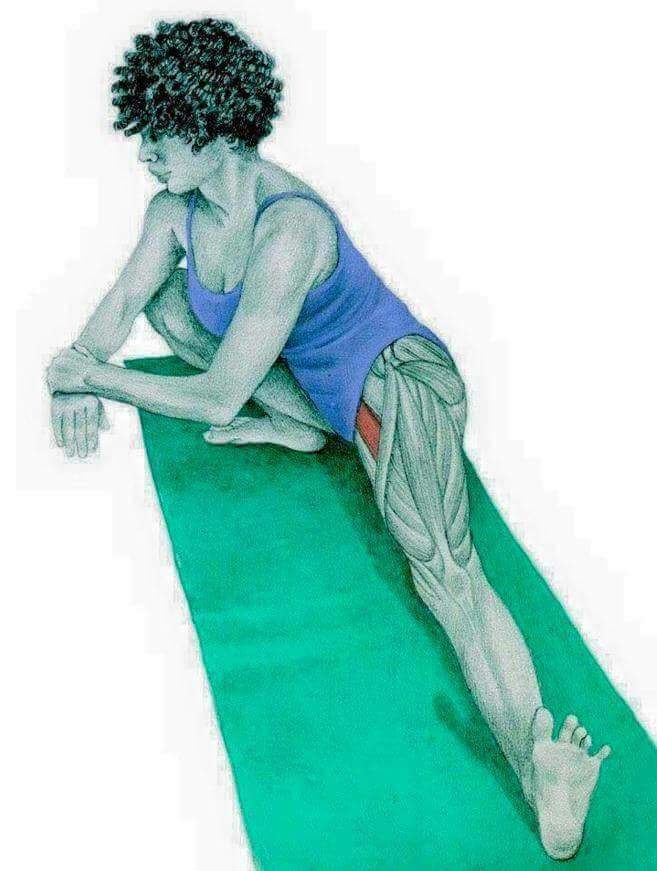 각 스트레칭별 자극이 가는 부위들 | 인스티즈