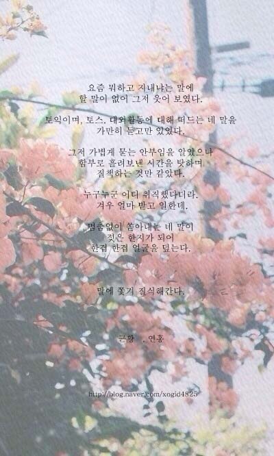 쉽게 넘어가는 하루가 없었다. 찬란한 꿈을 꾸라 말했지만 꿈에는 돈이 들었다 | 인스티즈