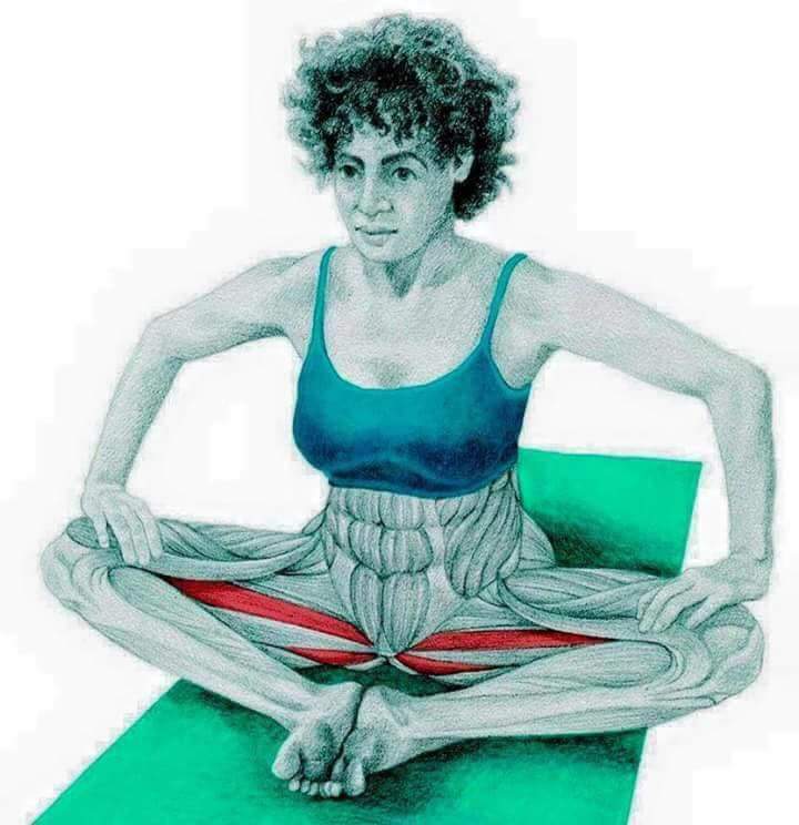 각 스트레칭별 자극이 가는 부위들 | 인스티즈