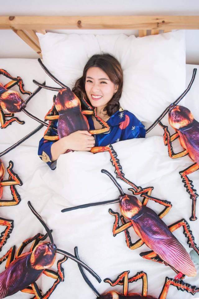 특별한 취향을 가진 사람들을 위한 쿠션 (혐오주의) | 인스티즈