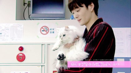 한국에서도 인기많을법한 잘생긴 일본연예인 | 인스티즈