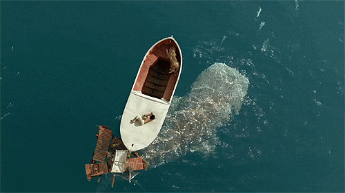 영상미 아름답다고 유명한 라이프 오브 파이 | 인스티즈